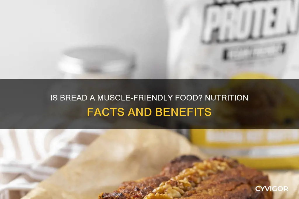is bread good for muscle