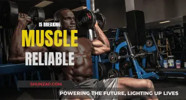 Breaking Muscle: Is It a Reliable Source for Fitness Advice?
