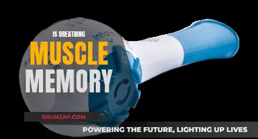 Breathing: Muscle Memory or Natural Instinct?