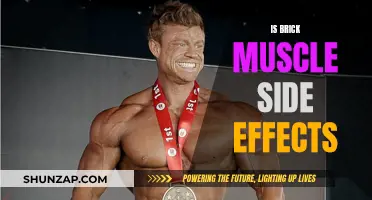 Brick Muscle: Is it Safe to Use?