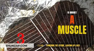 Brisket: Muscle or Meat Cut?