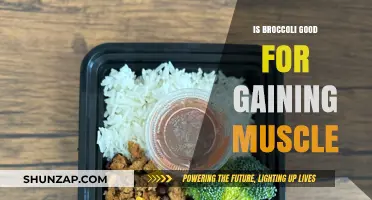 Broccoli's Role in Muscle Gain: Nutrition Benefits and Tips