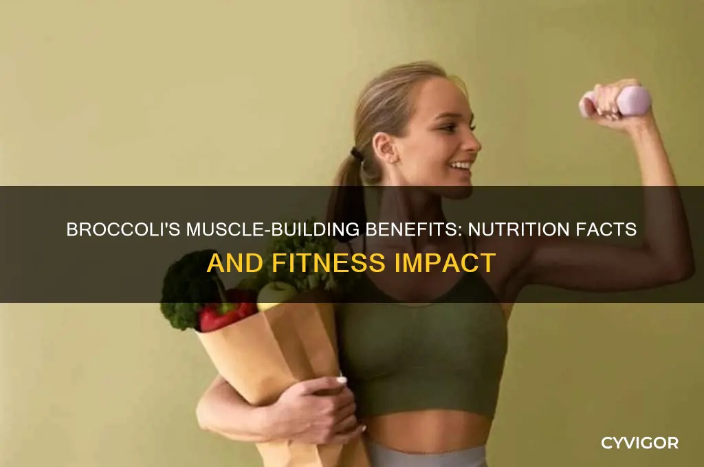 is broccoli good for muscle