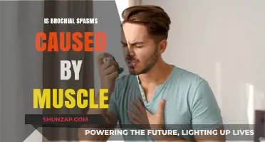 Bronchial Spasms: Muscles and Their Uncomfortable Contractions