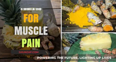 Bromelain Benefits: Can Pineapple Enzyme Relieve Muscle Pain?