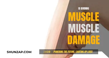 Muscle Building: Damaging or Constructive Process?