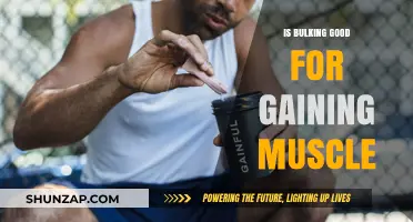 Is Bulking Effective for Muscle Gain? Pros, Cons, and Best Practices