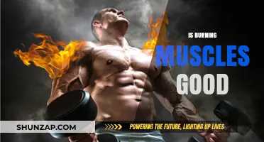 Is Burning Muscles Beneficial? Debunking Fitness Myths and Facts