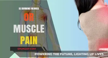 Burning Nerves vs. Muscle Pain: Understanding the Difference and Treatment