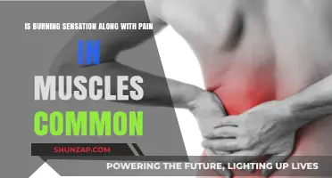Burning Sensation and Muscle Pain: Common Causes and Concerns