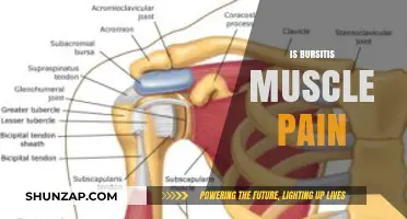 Is Bursitis Causing Your Muscle Pain? Understanding the Connection