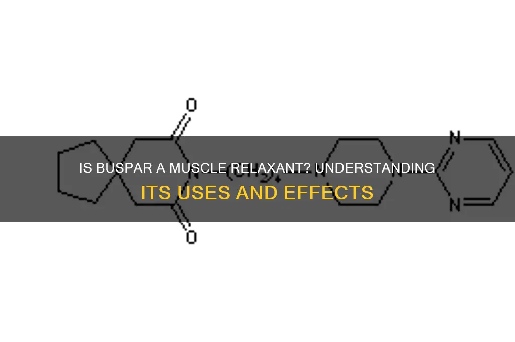 is buspar a muscle relaxant