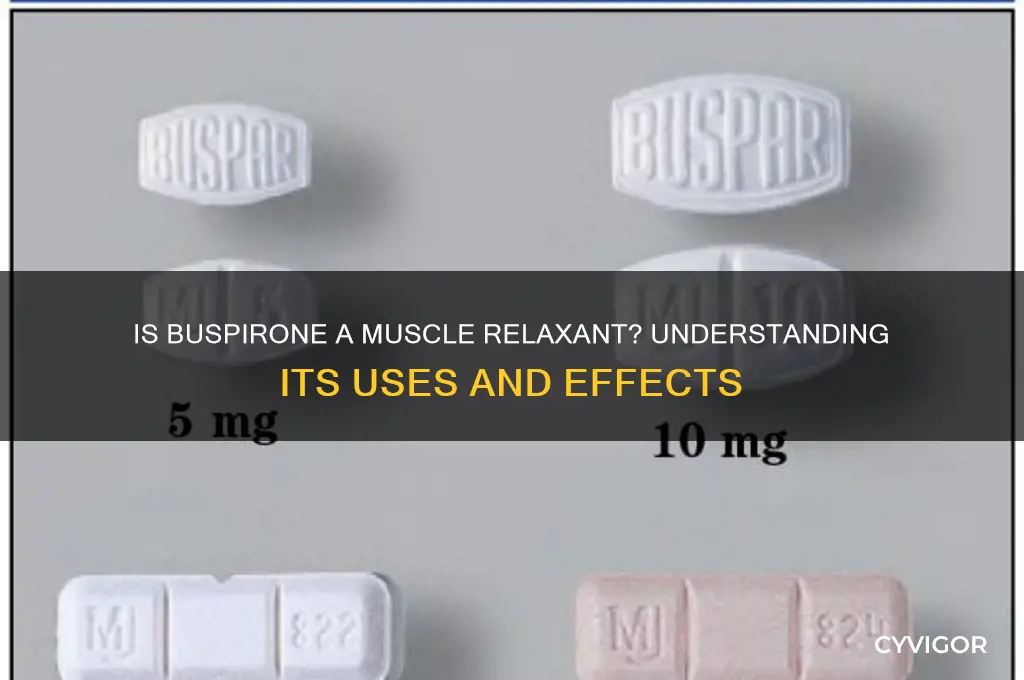 is buspirone a muscle relaxant