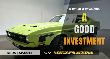 Investing in Muscle Cars: Profitable Venture or Risky Hobby?