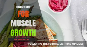 Cabbage and Muscle Growth: Unlocking Its Potential for Strength Training