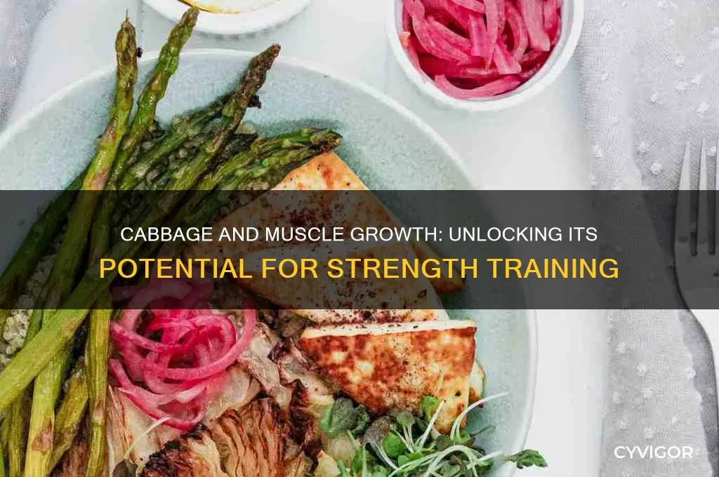 is cabbage good for muscle growth