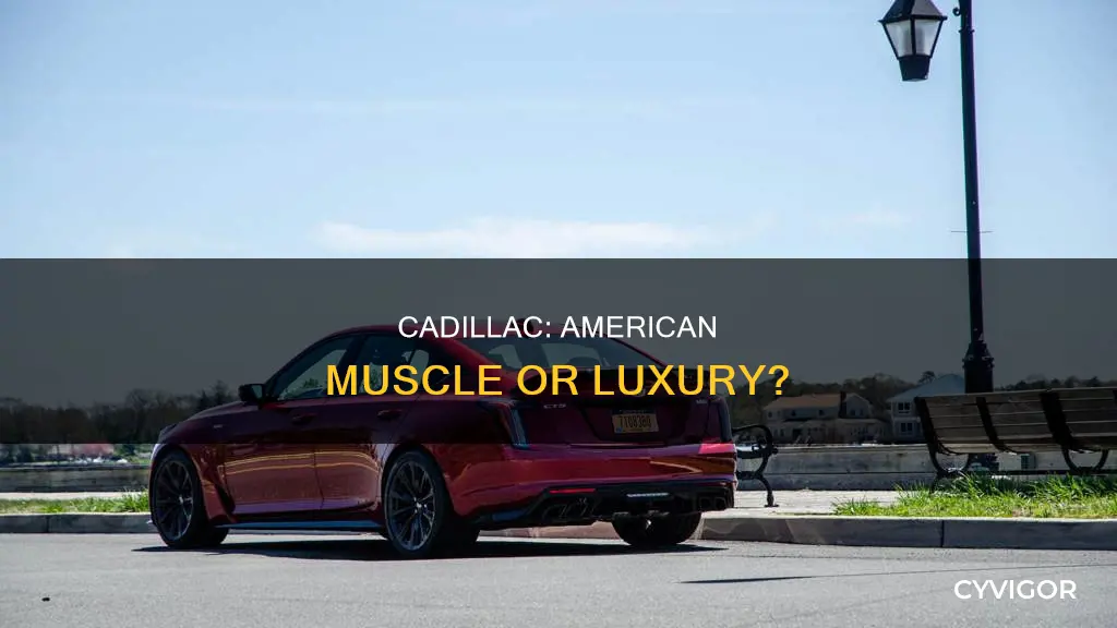 is cadillac american muscle