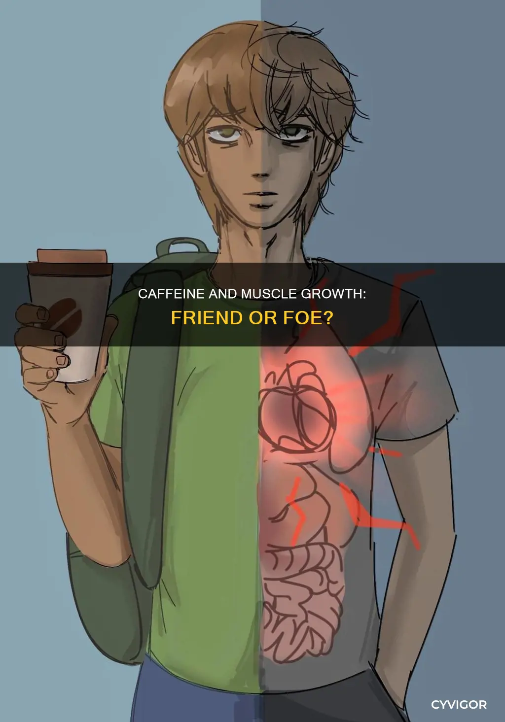 is caffeine bad for muscle