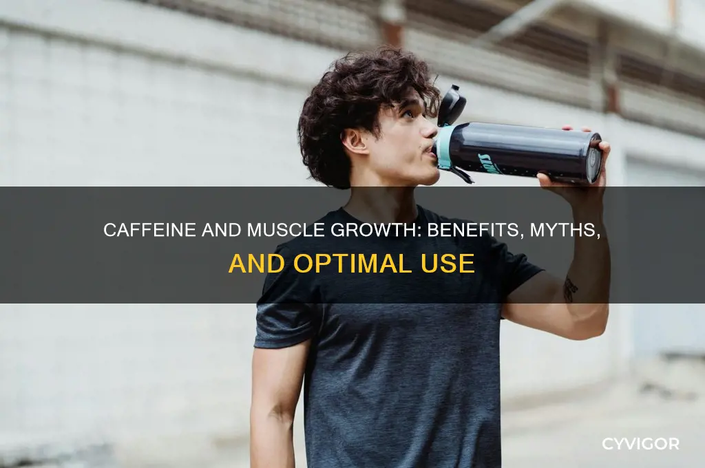 is caffeine good for muscle growth