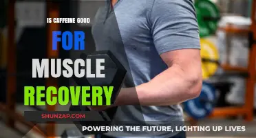 Caffeine and Muscle Recovery: Benefits, Myths, and Optimal Use
