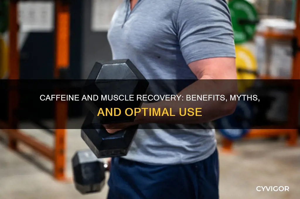 is caffeine good for muscle recovery