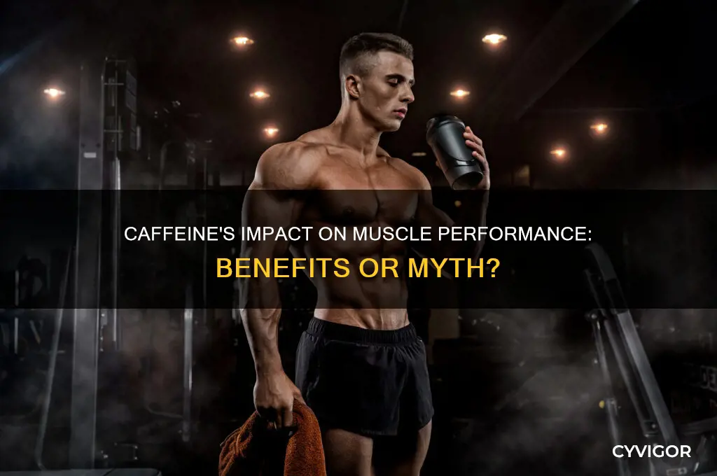is caffeine good for muscles