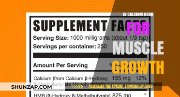 Calcium's Role in Muscle Growth: Benefits and Science Explained