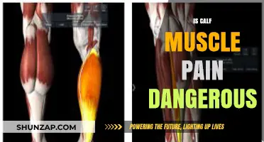 Is Calf Muscle Pain Dangerous? Understanding Risks and When to Worry