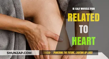 Calf Muscle Pain and Heart Health: Uncovering the Surprising Connection