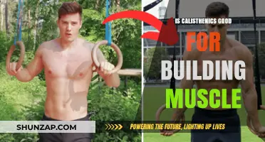 Unlocking Strength: The Muscle-Building Potential of Calisthenics