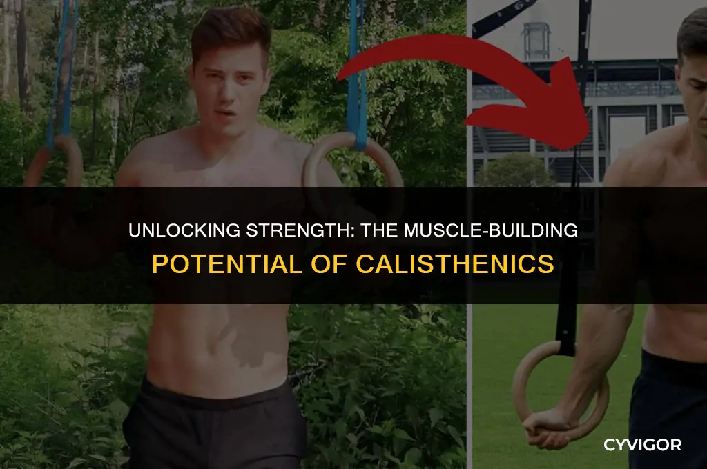 is calisthenics good for building muscle