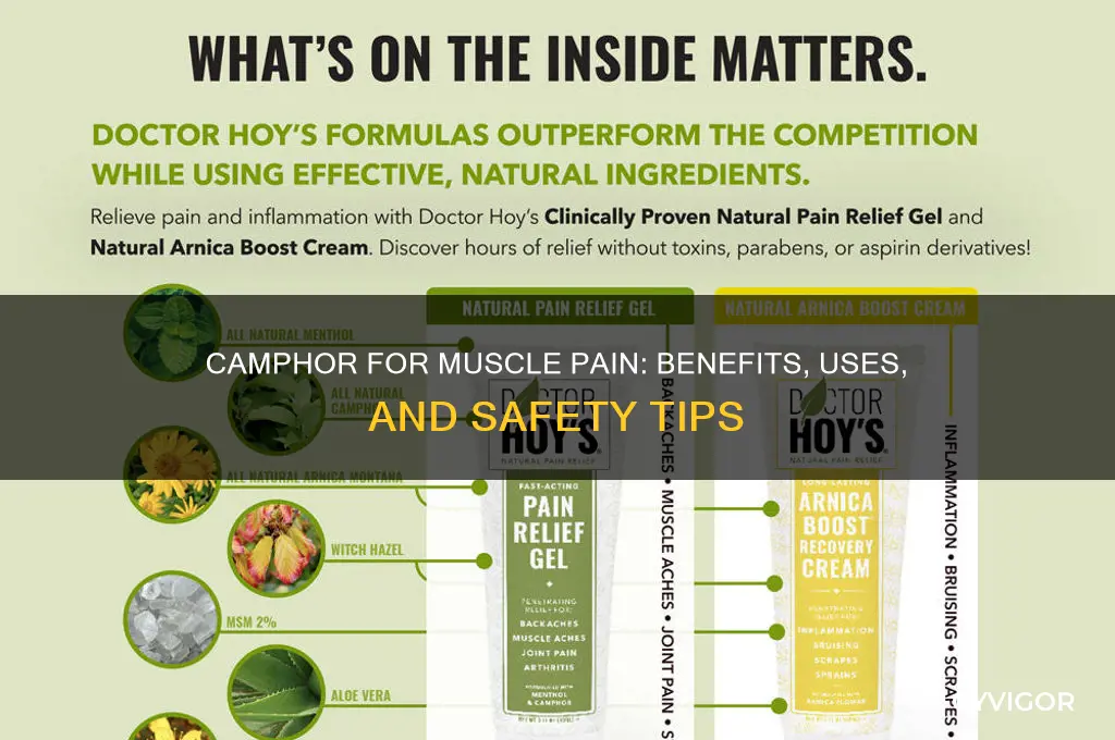 is camphor good for muscle pain