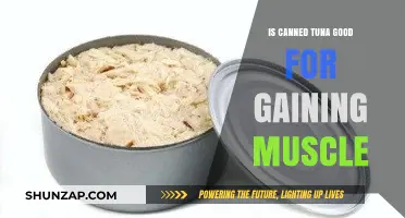 Canned Tuna for Muscle Gain: Nutrition Benefits and Tips