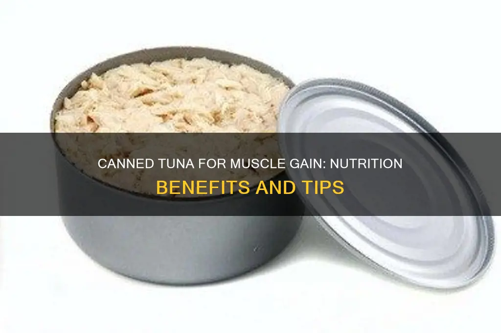 is canned tuna good for gaining muscle
