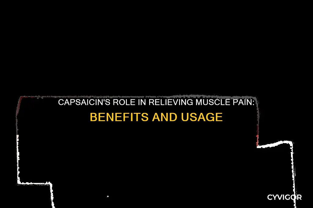 is capsaicin good for muscle pain