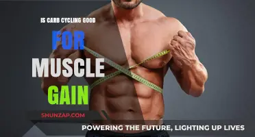 Carb Cycling for Muscle Gain: Effective Strategy or Myth?