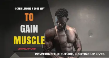 Carb Loading for Muscle Gain: Effective Strategy or Myth?