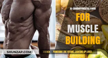 Carbohydrates and Muscle Building: Fueling Your Fitness Goals