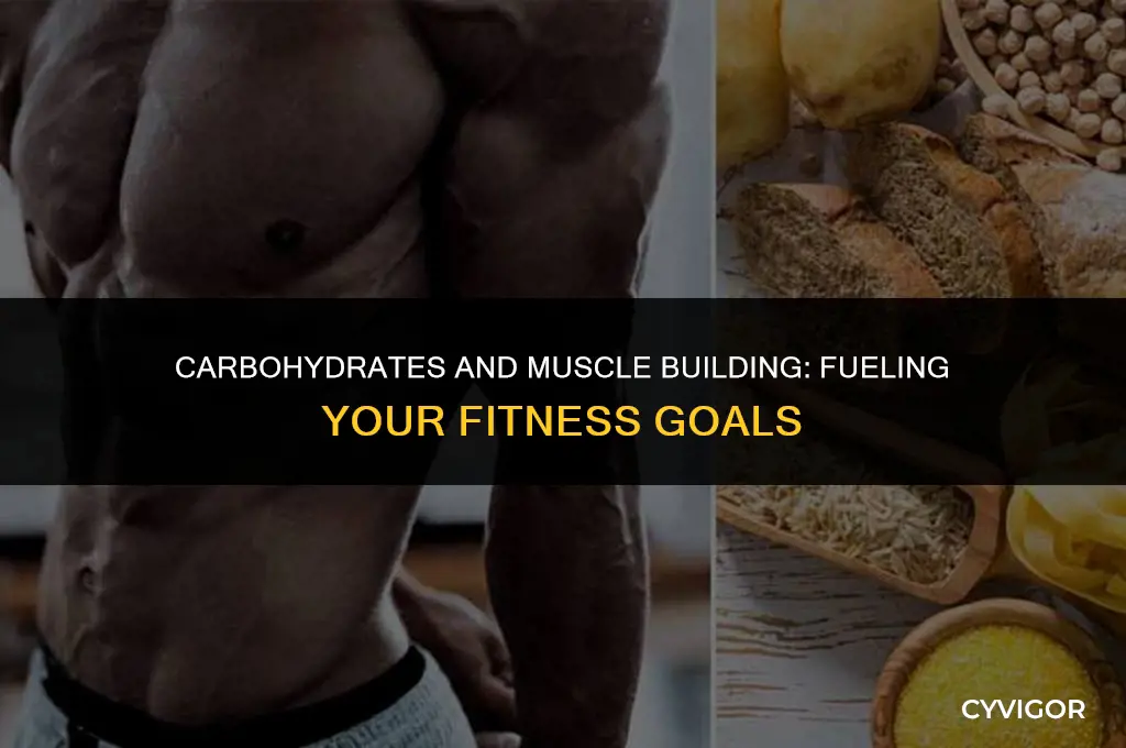 is carbohydrates good for muscle building