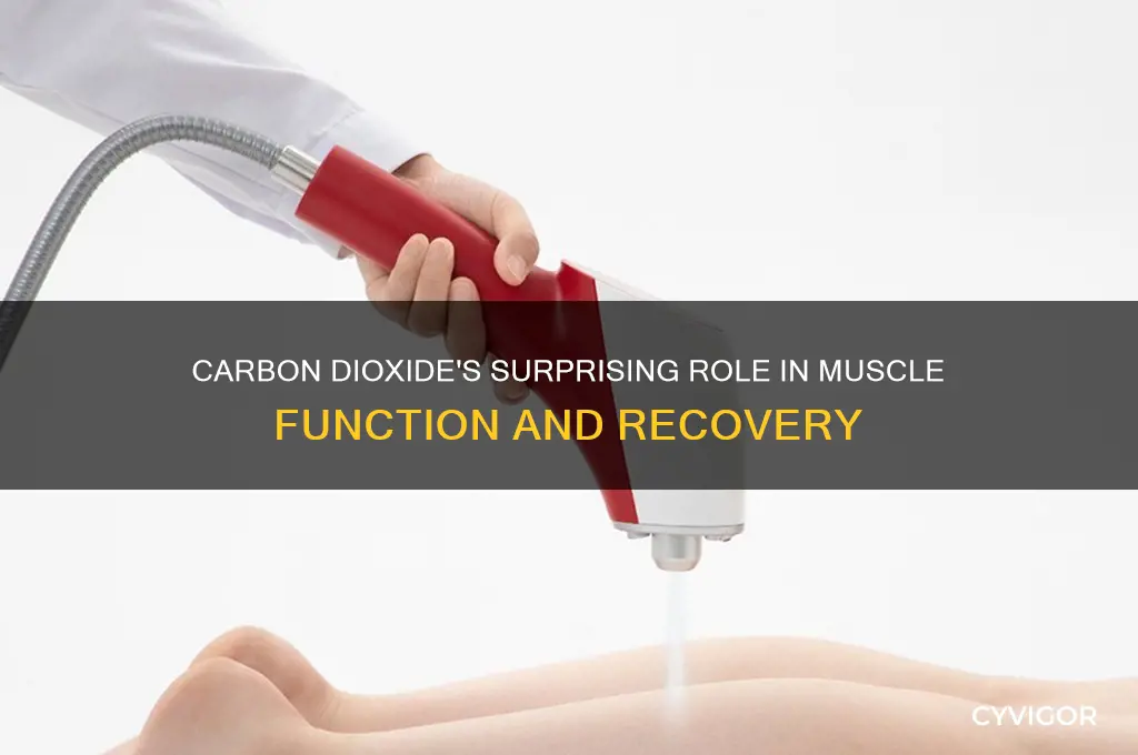 is carbon dioxide good for muscles