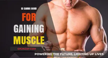 Carbs and Muscle Gain: Fueling Growth or Hindering Results?