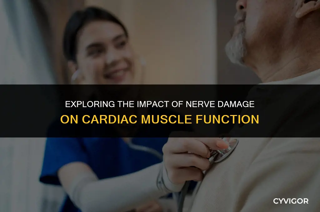 is cardiac muscle affected by nerve damage