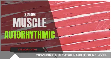 The Mystery of Cardiac Muscle's Auto-Rhythmic Abilities