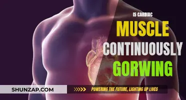 The Ever-Growing Cardiac Muscle: What's the Science?