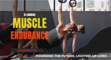 The Secret to Unlocking Cardiac Muscle Endurance