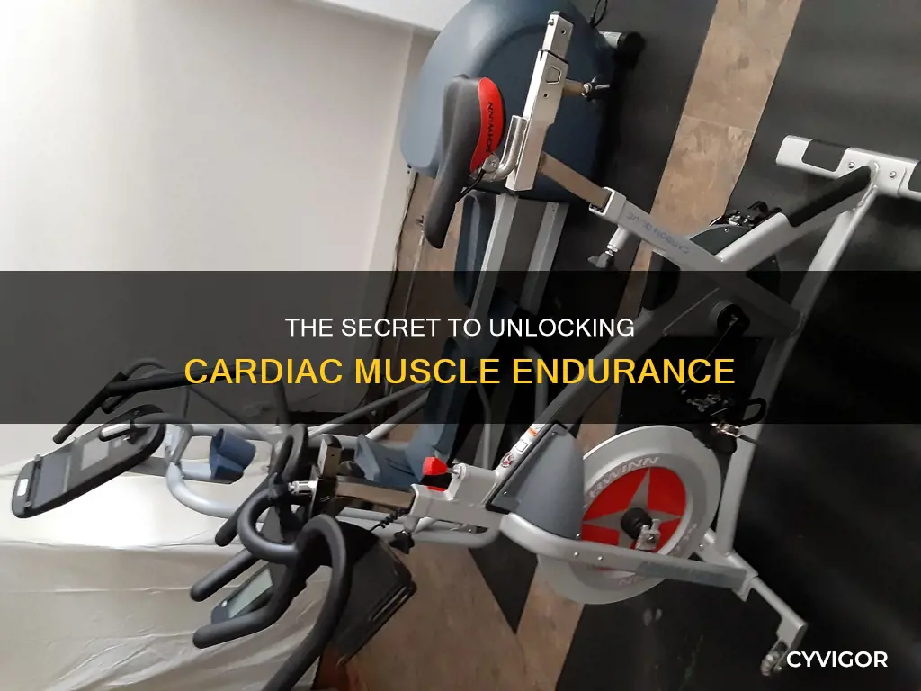 is cardiac muscle endurance