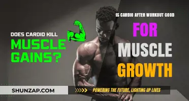 Cardio After Workouts: Boost or Bust for Muscle Growth?