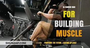 Debunking Myths: Cardio's Impact on Muscle Building Explained