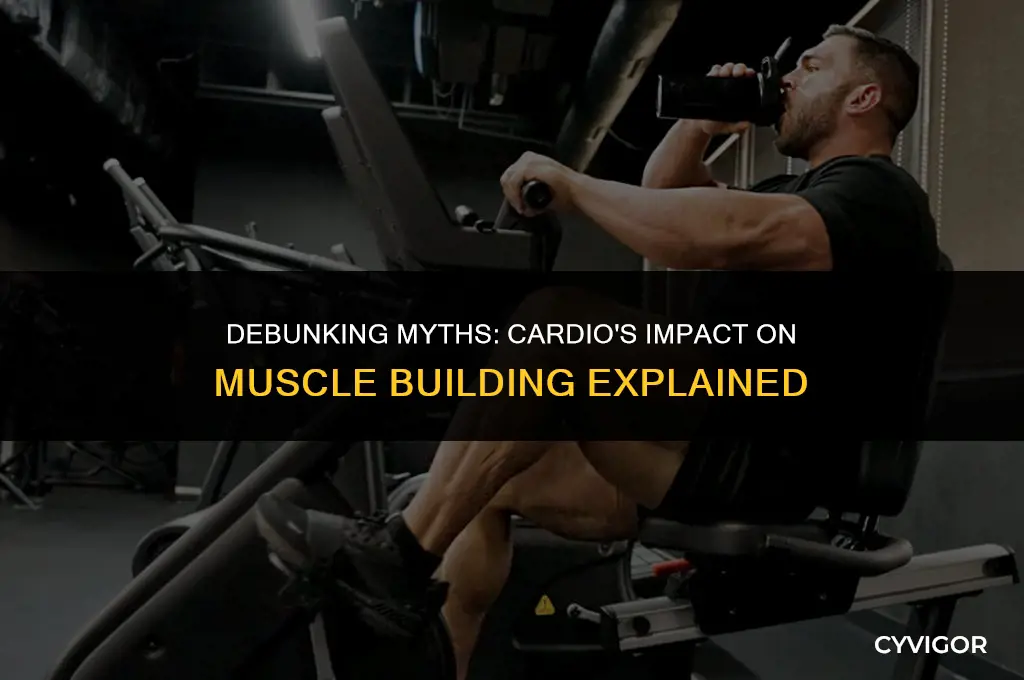 is cardio bad for building muscle