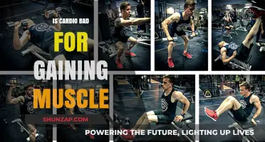 Cardio and Muscle Gain: Debunking Myths for Optimal Fitness